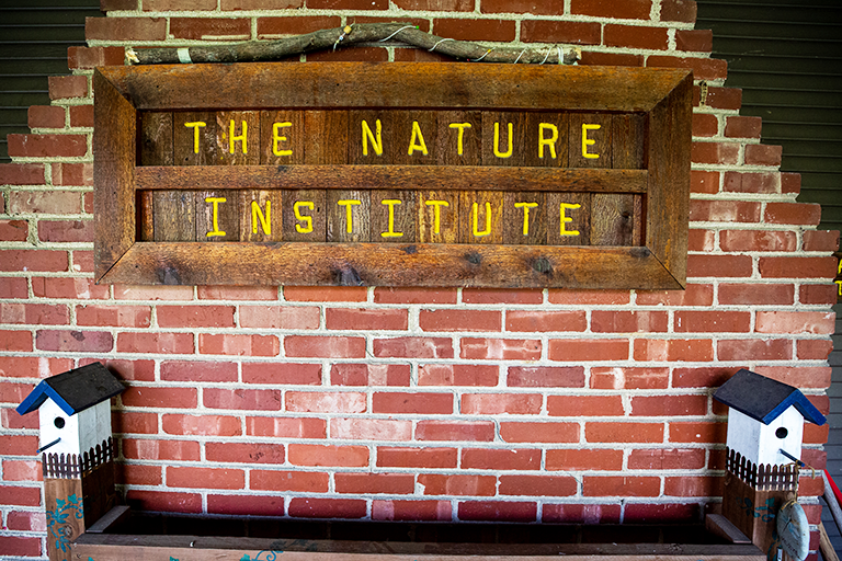 Godfrey Website Nature Institute 1 resized